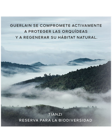 ORCHIDÉE IMPÉRIALE LA MOUSSE EN CRÈME