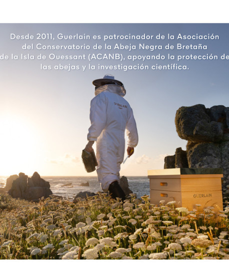 ABEILLE ROYALE RITUAL DE JUVENTUD DEL CUERO CABELLUDO Y CABELLO