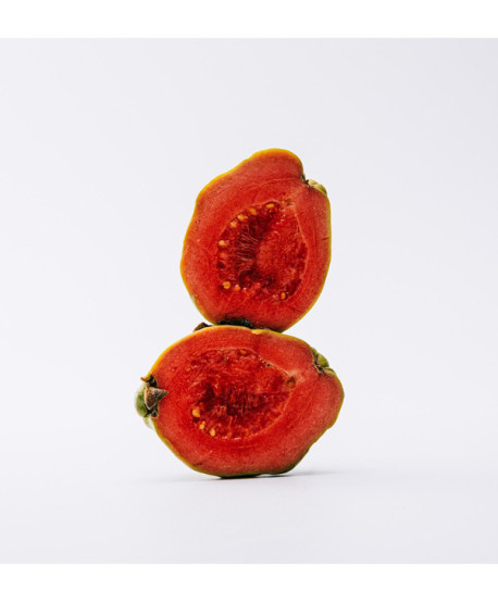 LOEWE SOLO COFRE REGALO