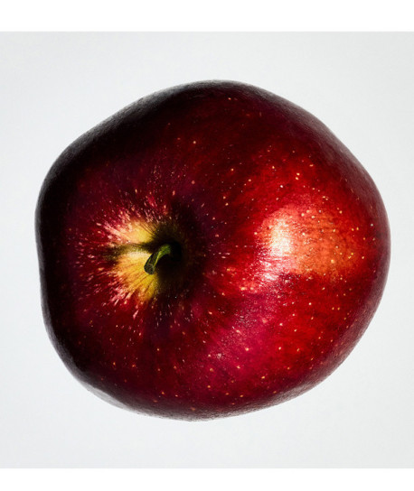 LOEWE SOLO ELLA EDP COFRE REGALO