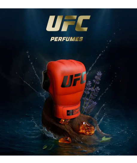 UFC ULTIMATE K.O.