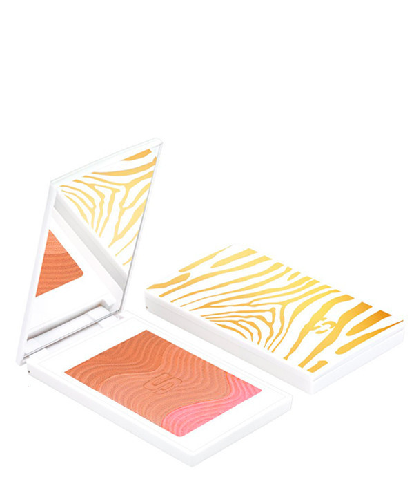 PHYTO-TOUCHE POUDRE ÉCLAT...