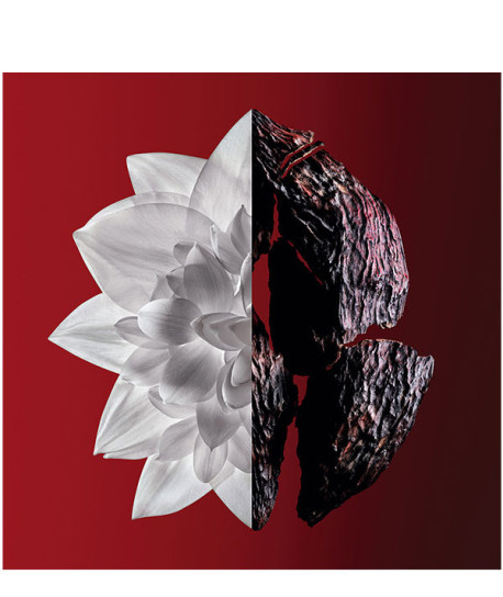 L’INTERDIT ROUGE ULTIME