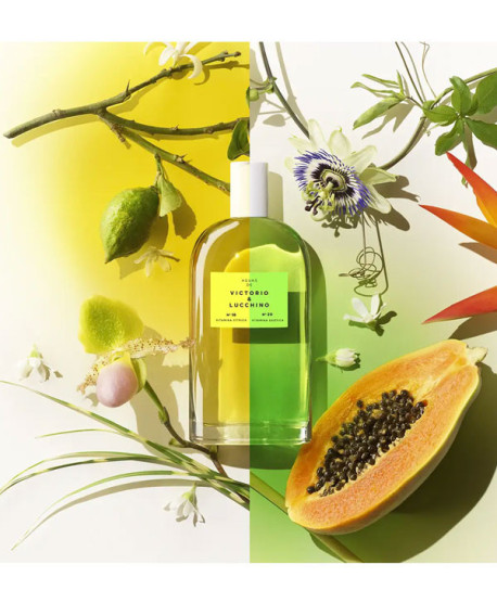 AGUAS FRUTALES Nº18 VITAMINA CÍTRICA