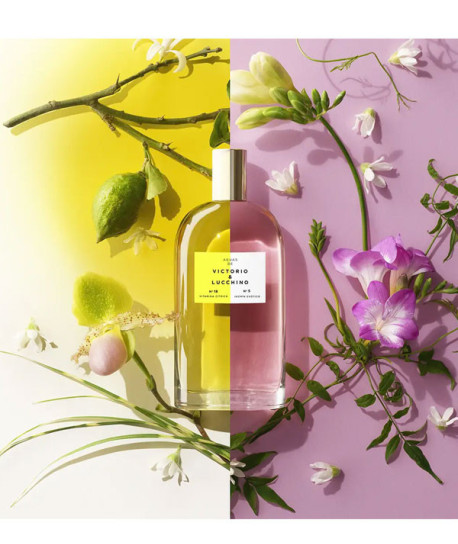 AGUAS FRUTALES Nº18 VITAMINA CÍTRICA