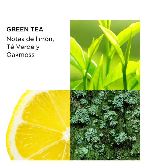 GREEN TEA ESTUCHE
