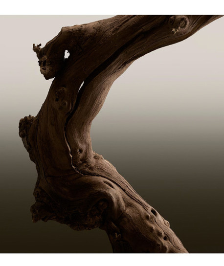 BURBERRY HERO PARFUM