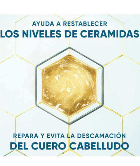 DERMAXPRO CHAMPÚ CALMANTE