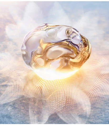 PRODIGY CELLGLOW OILIXIR