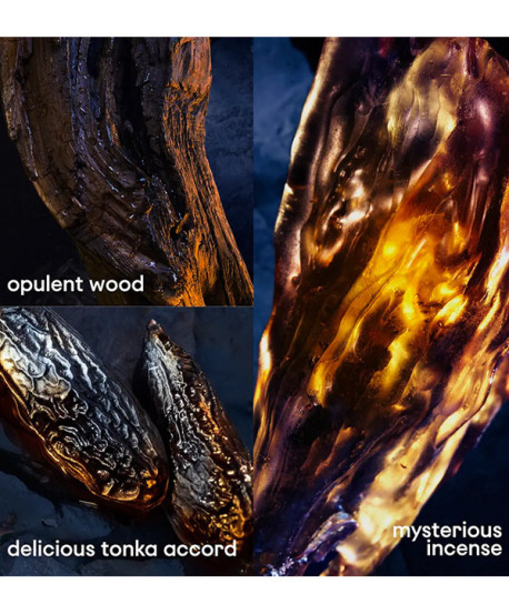 INVICTUS VICTORY ELIXIR