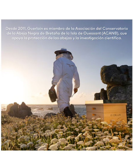 ABEILLE ROYALE SÉRUM ACEITE ESTUCHE NECESER