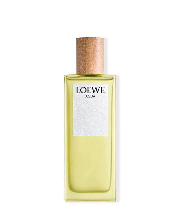 LOEWE AGUA