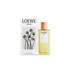 LOEWE AGUA