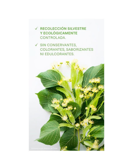 ZUMO ANTICELULÍTICO DE ABEDUL