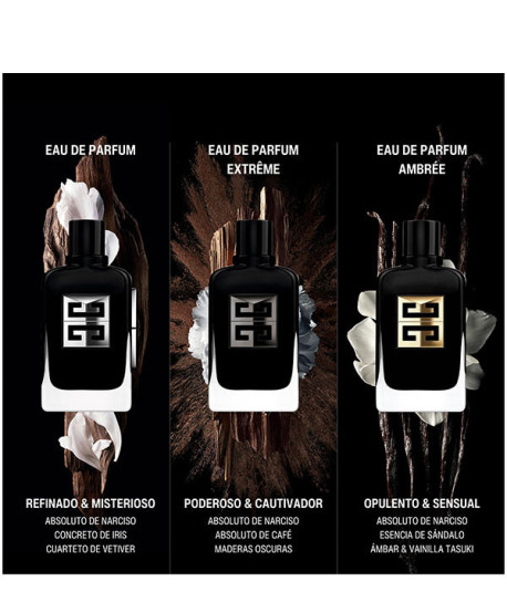 GENTLEMAN SOCIETY AMBRÉE