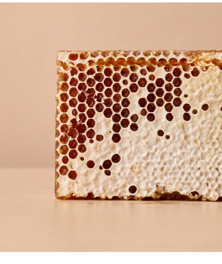 STICK NUTRITIVO CON COLD CREAM Y CERA DE ABEJA