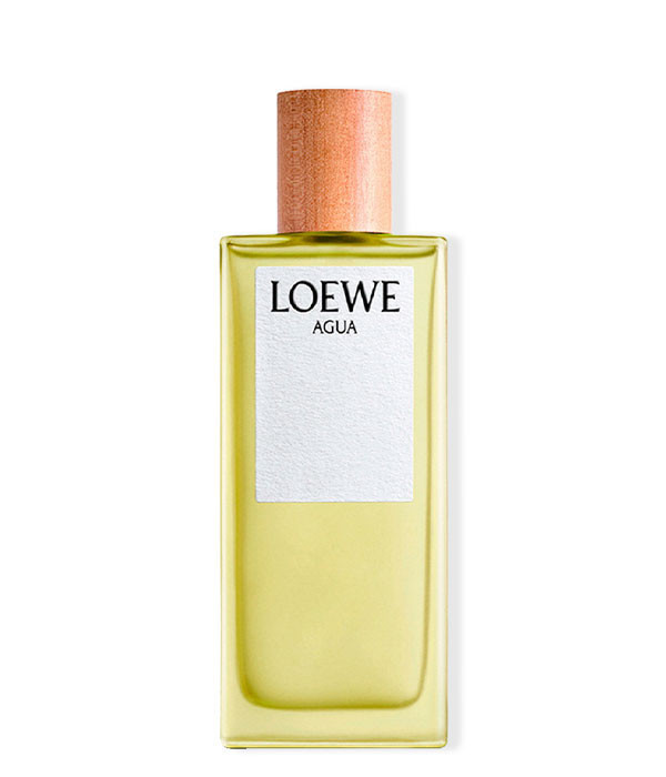LOEWE AGUA