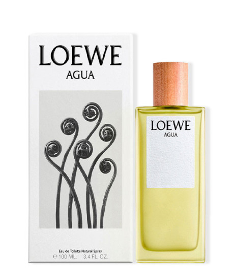LOEWE AGUA