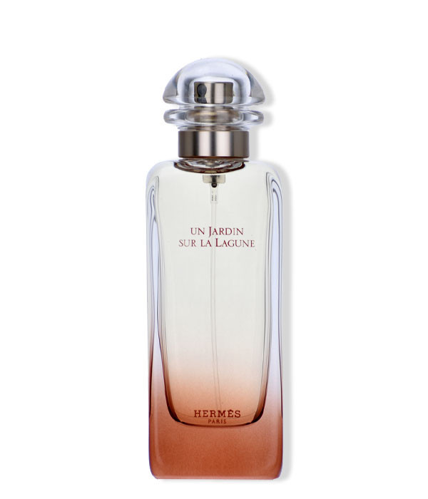 UN JARDIN SUR LA LAGUNE