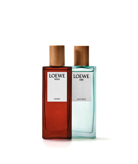 LOEWE SOLO CEDRO