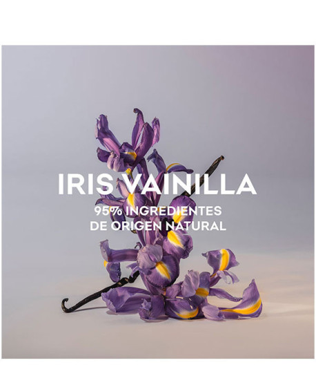 IRIS VAINILLA