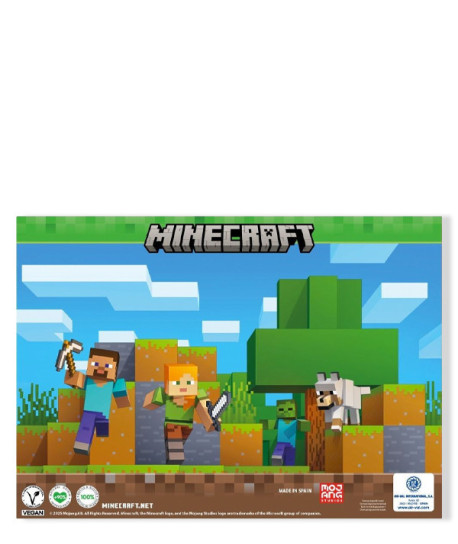 MINECRAFT COFRE
