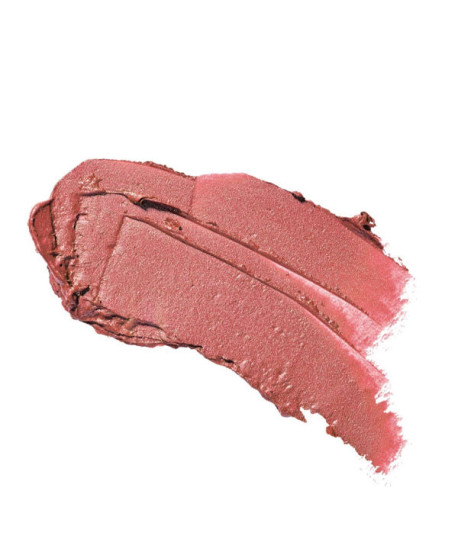 PERFECT COLOR LIPSTICK LIMITED EDITION