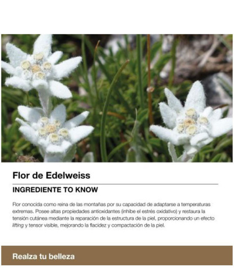 SPLENDOR 60 CREMA FORTIFICANTE NOCHE