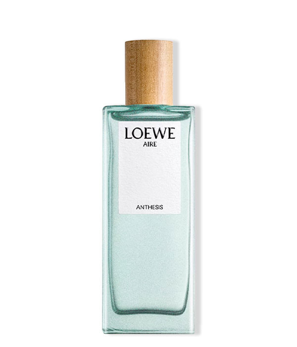 LOEWE AIRE ANTHESIS