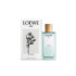 LOEWE AIRE ANTHESIS