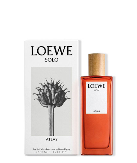 LOEWE SOLO ATLAS