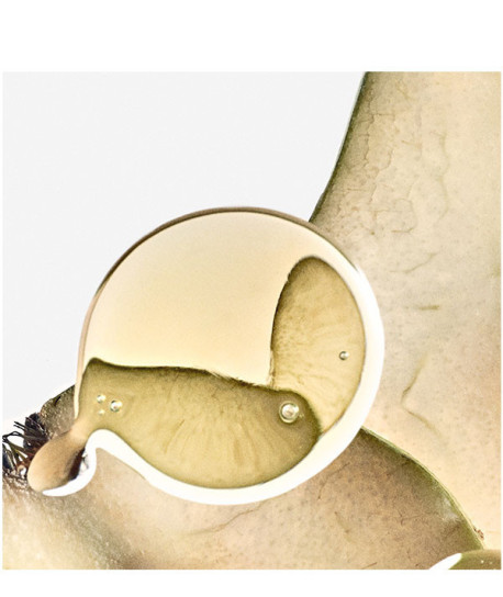 LOEWE SOLO ELLA ELIXIR