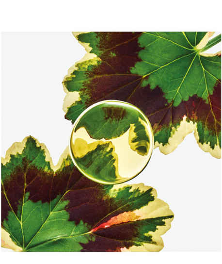 LOEWE ESENCIA ELIXIR