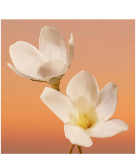 ETERNITY WOMAN EDP INTENSE