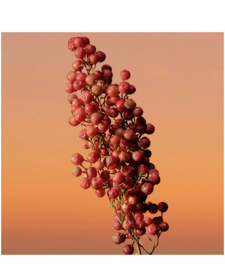 ETERNITY WOMAN EDP INTENSE