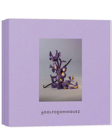 IRIS VAINILLA EN ESTUCHE