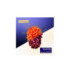 VITAL PERFECTION CONCENTRATED SUPREME CREAM
