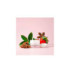 MANUKA LIP BALM FRESA