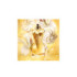GAULTIER DIVINE ESTUCHE