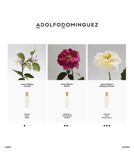 AGUA FRESCA DE ROSAS