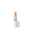 EIGHT HOUR CREAM LIP PROTECTANT STICK SPF 15