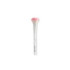BRUSH BLUSH