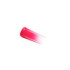 DIOR ADDICT LIP TINT