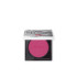 LE PHYTO-BLUSH