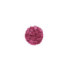 LE PHYTO-BLUSH