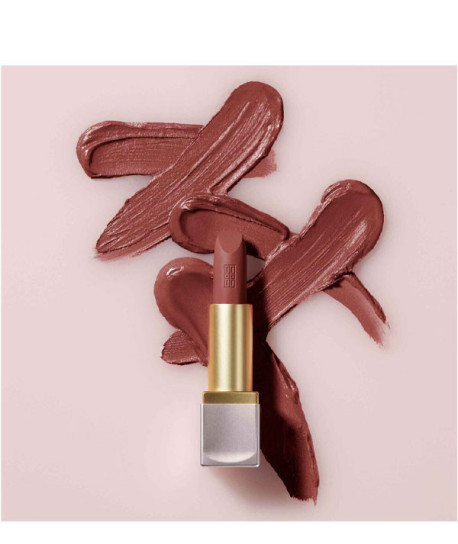 LIP COLOR LIPSTICK