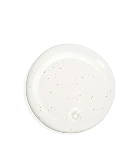 SISLEYUM FOR MEN PURIFYING CLEANSING GEL
