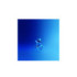 BLUE RETINOL NIGHT SERUM