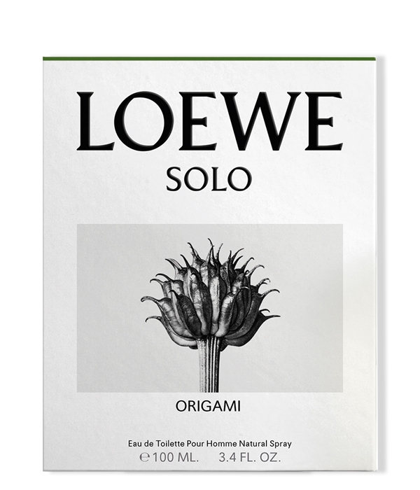en voz alta Cardenal esponja Loewe Solo Origami Eau de Toilette Comprar | Prieto.es