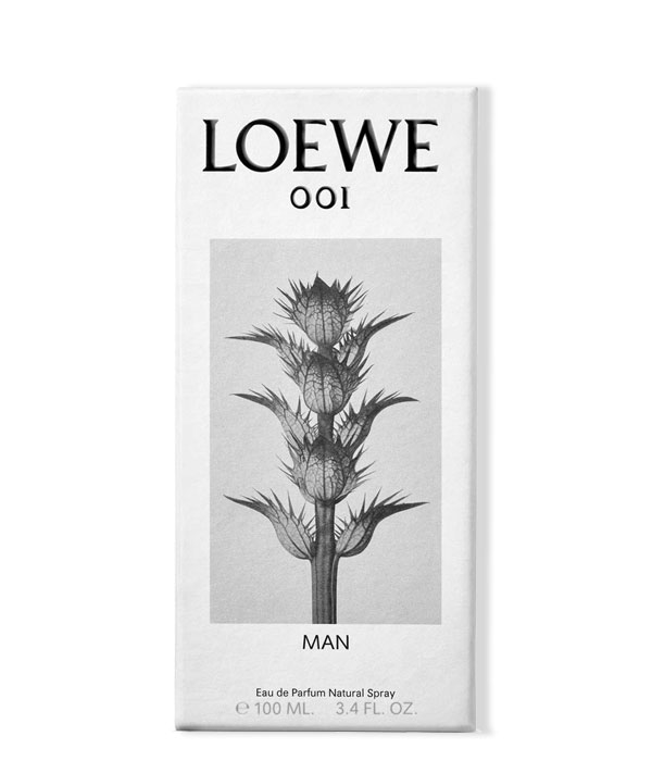 LOEWE 001 MAN